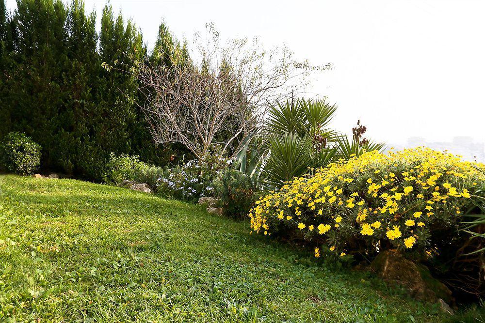 Villa Stephanie Mougins Eksteriør billede
